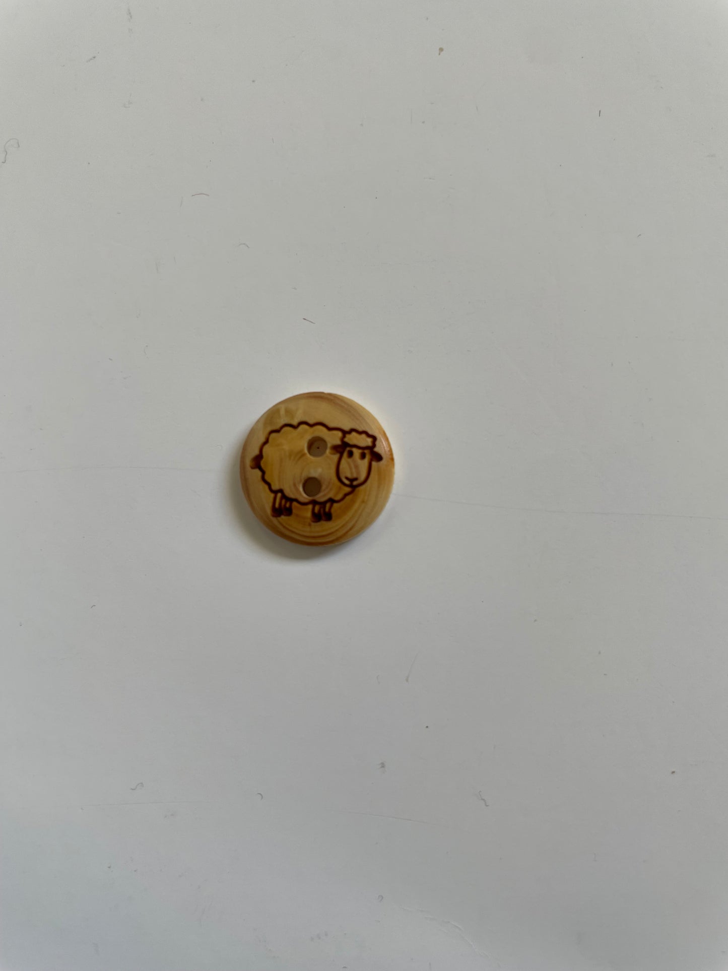 Boutons bois d'olivier