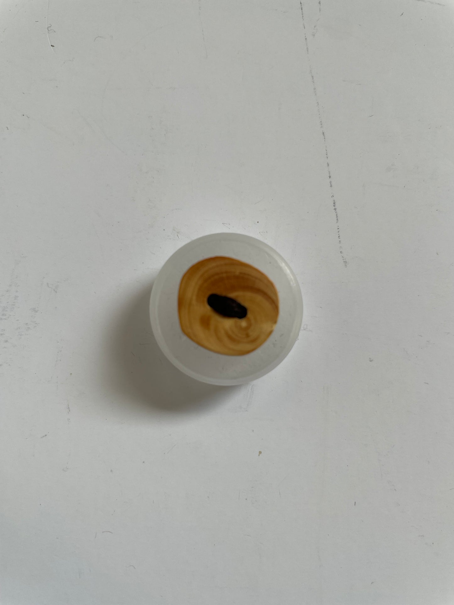 Boutons bois d'olivier