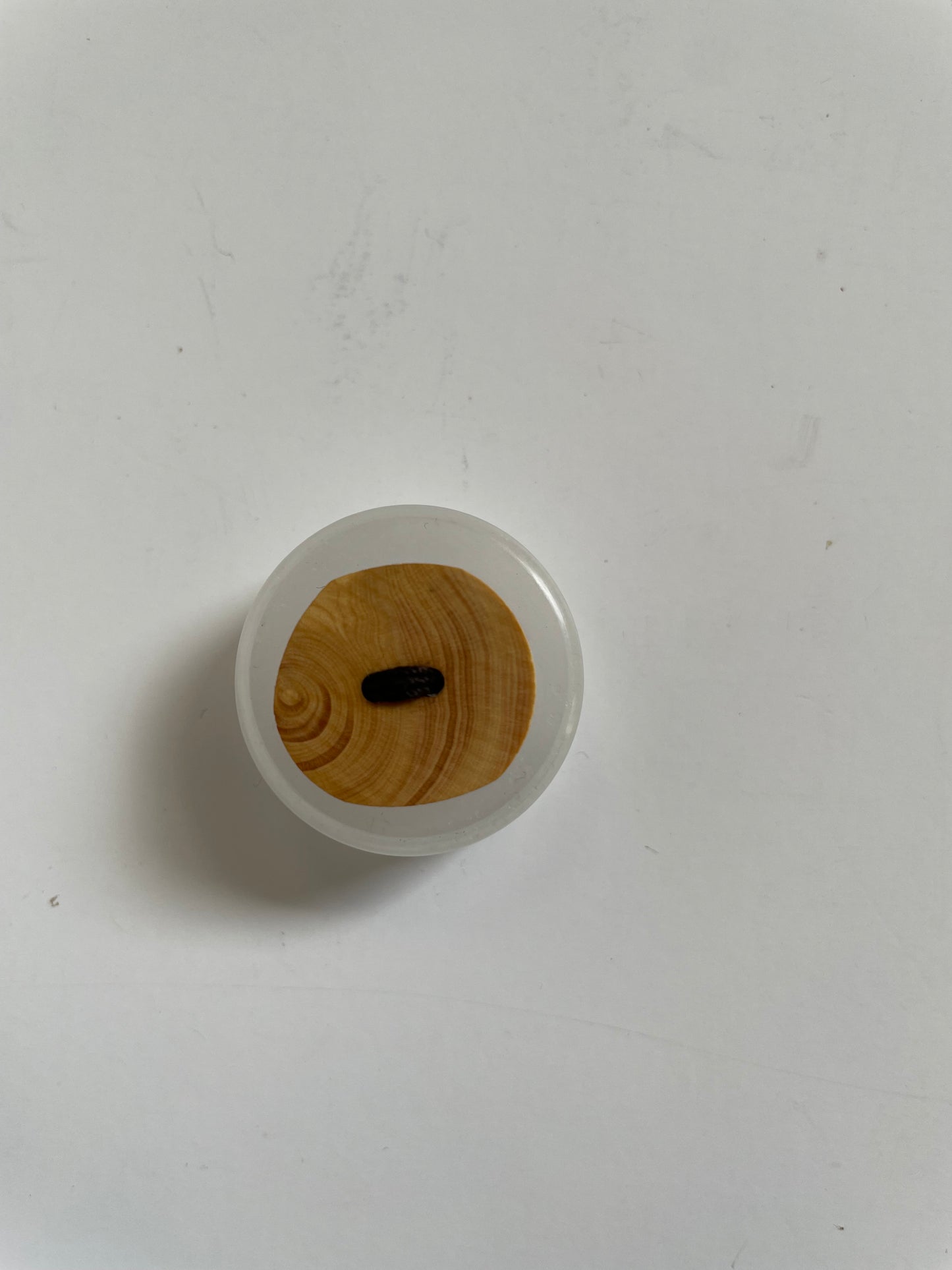 Boutons bois d'olivier