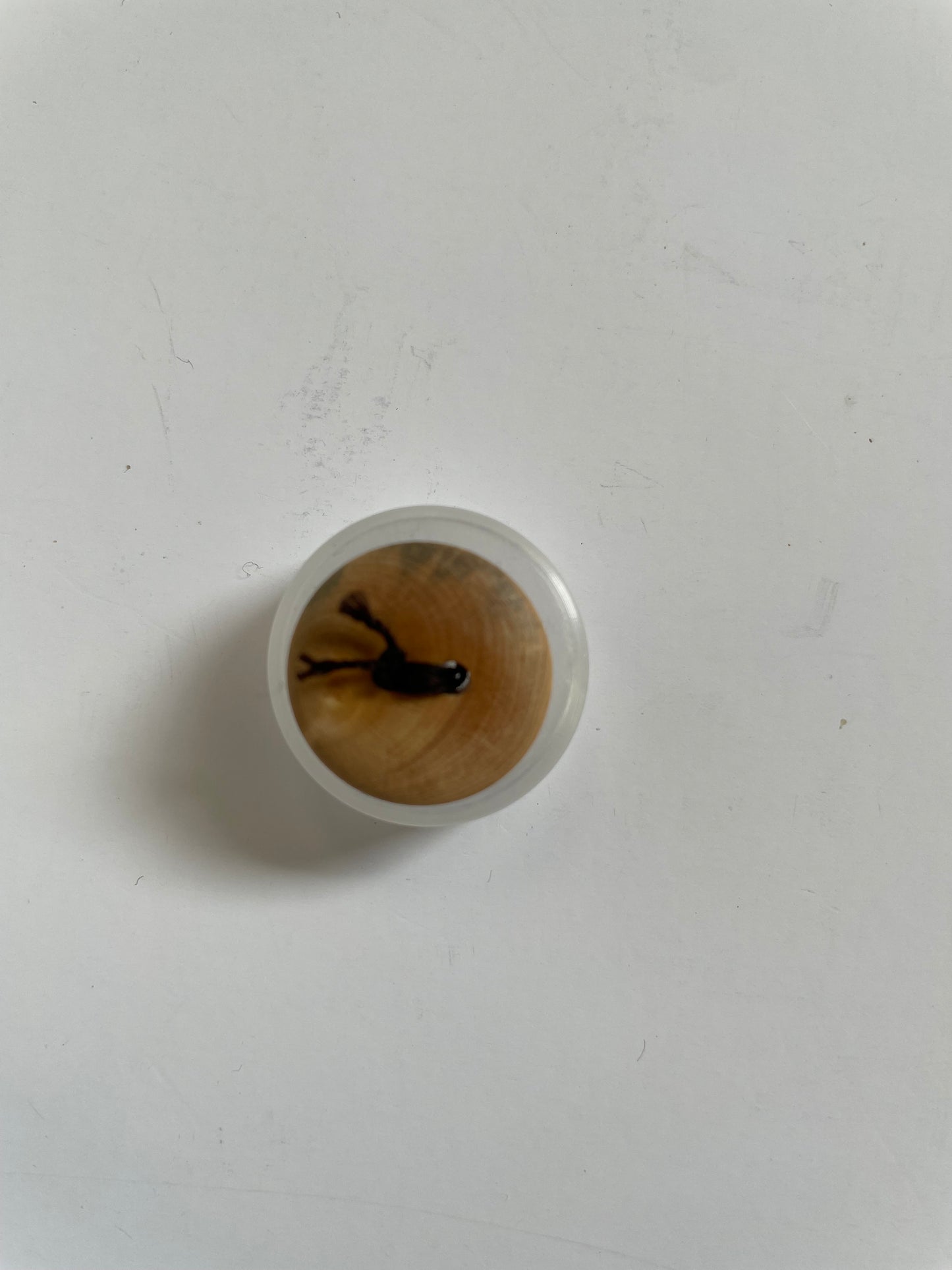 Boutons bois d'olivier