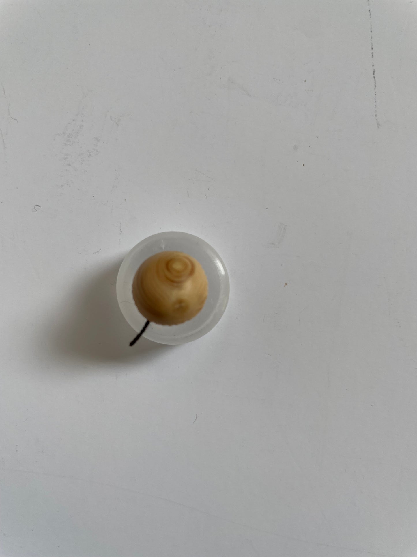 Boutons bois d'olivier