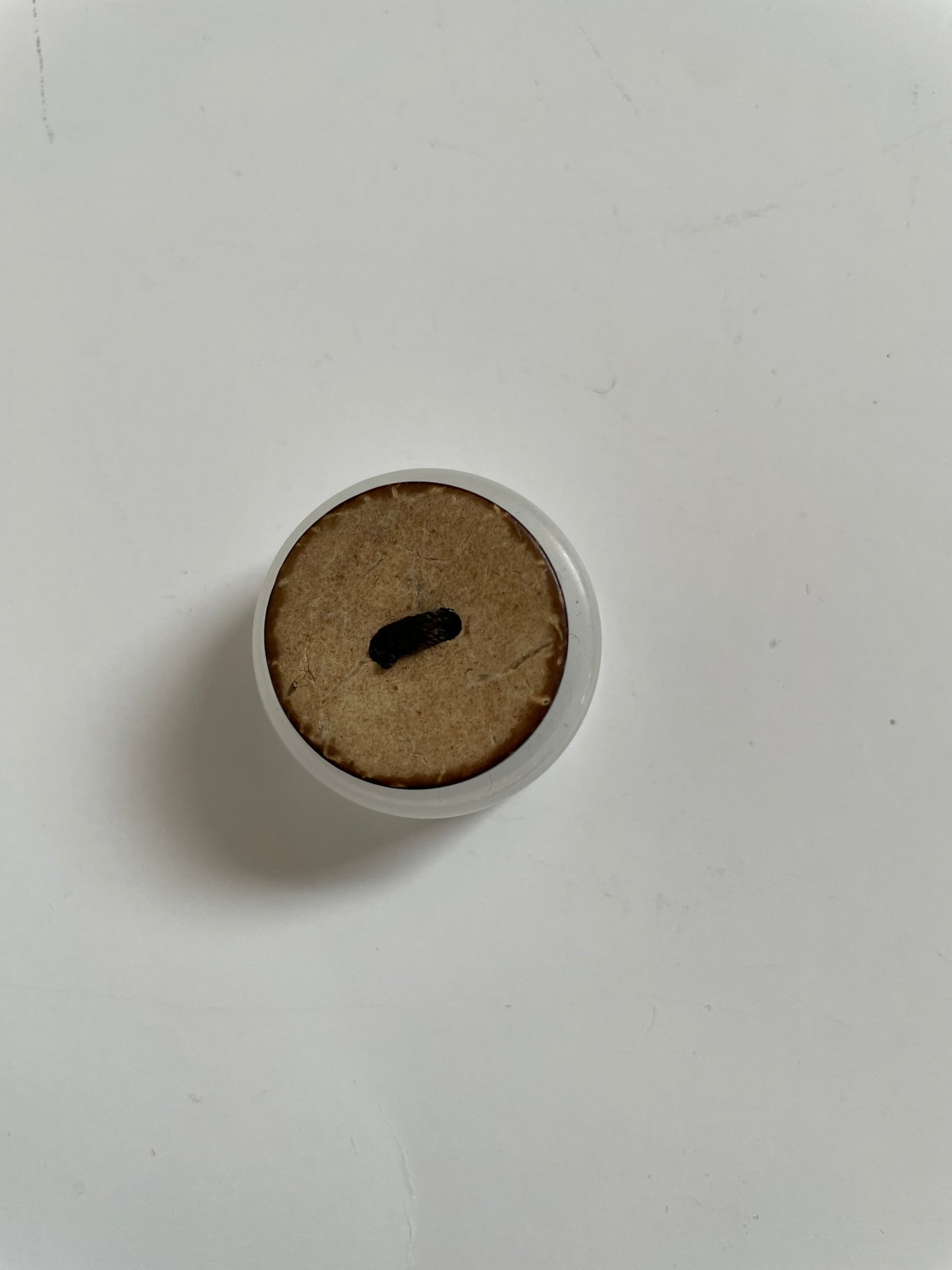 Boutons coco naturel