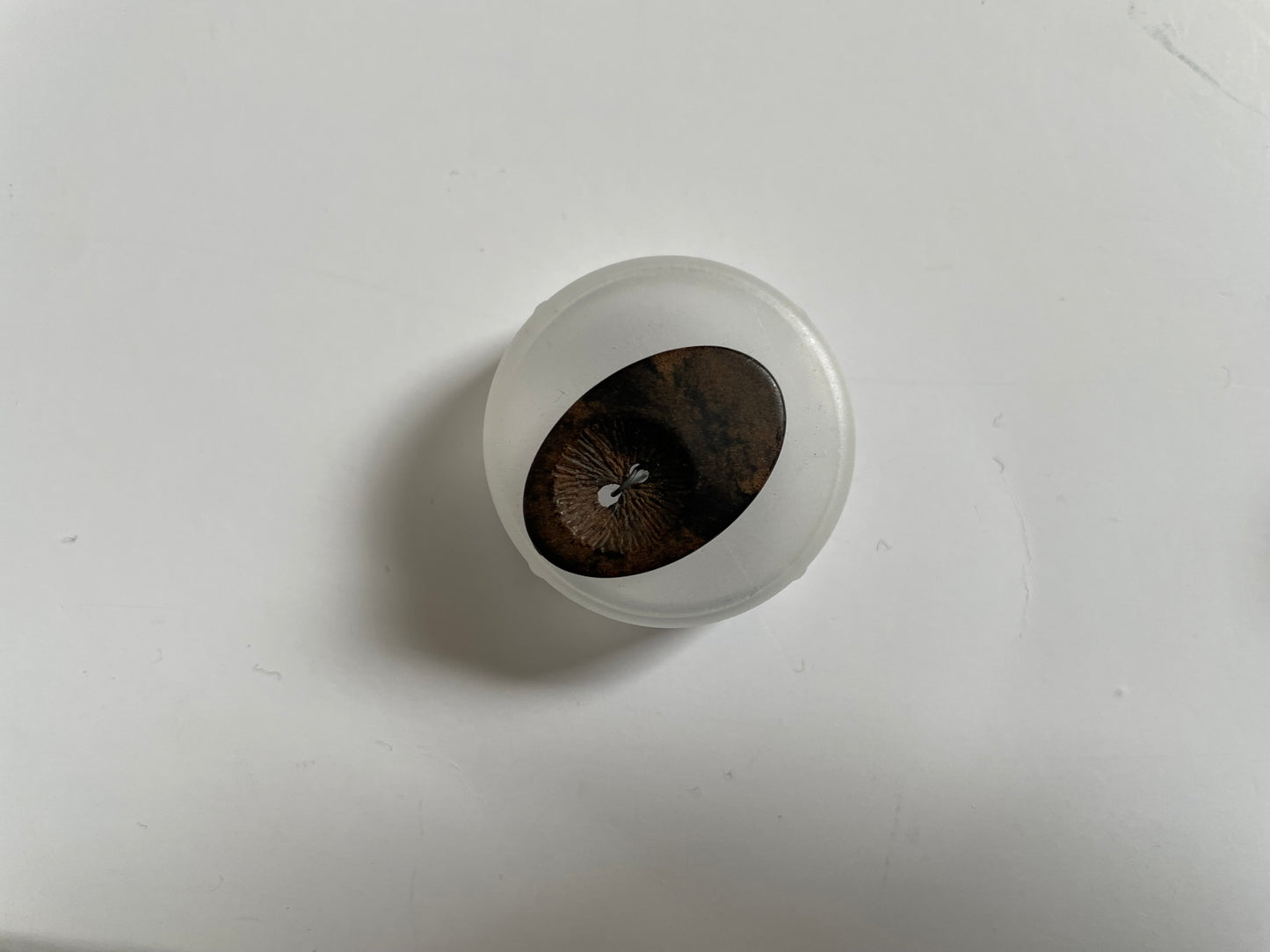 Boutons Ovals