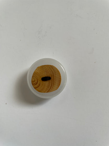 Boutons bois d'olivier